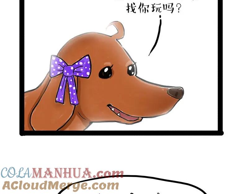 35.jpg