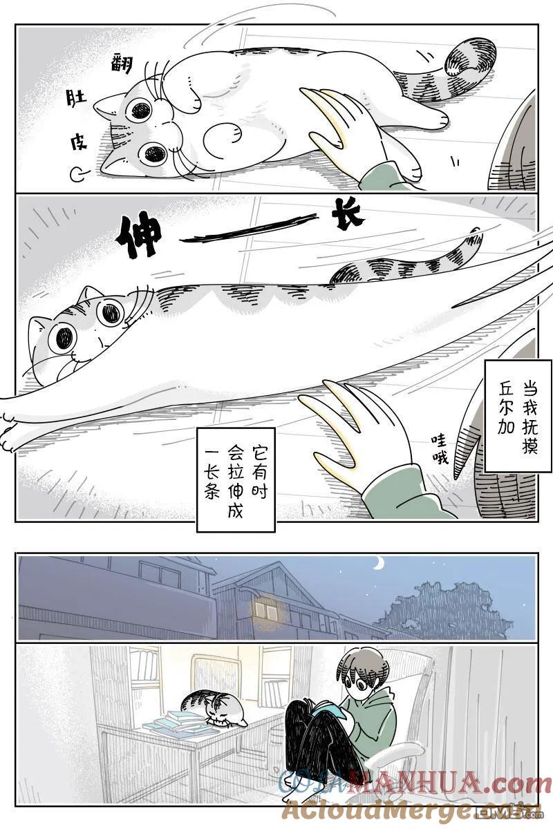 第168话-关于养猫我一直是新手-キュルZ（第1张）