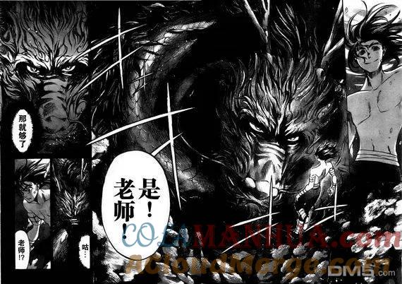 第176话-圣斗士星矢 冥王神话-手代木史织（第4张）
