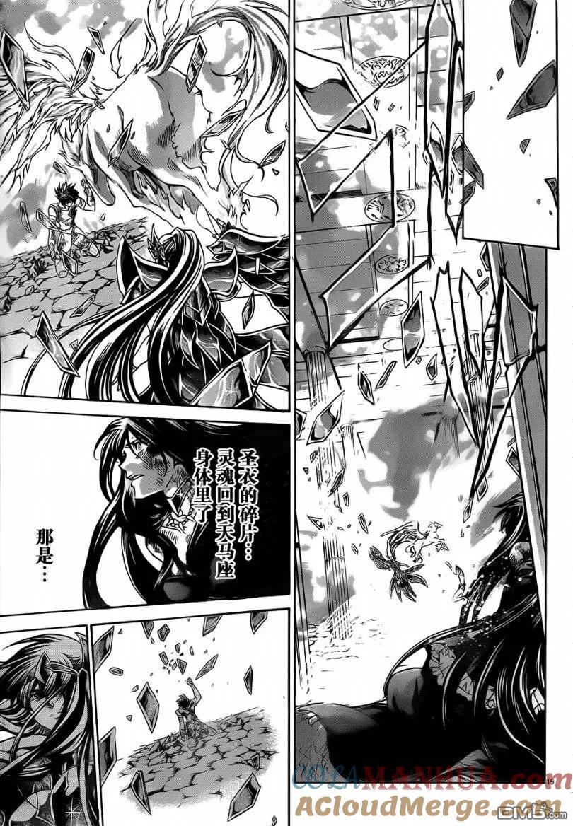第191话-圣斗士星矢 冥王神话-手代木史织（第16张）