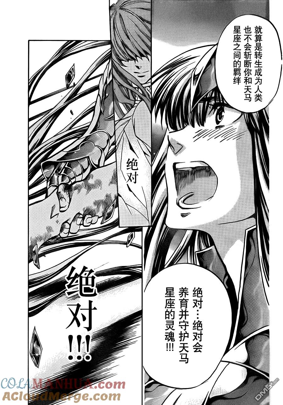 第192话-圣斗士星矢 冥王神话-手代木史织（第12张）