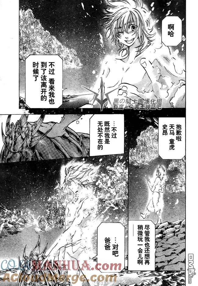第201话-圣斗士星矢 冥王神话-手代木史织（第8张）