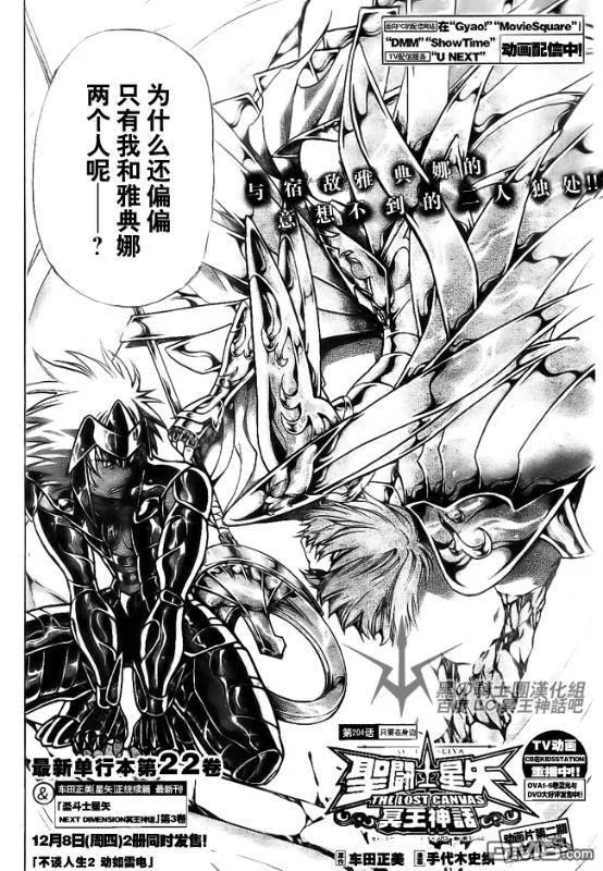第204话-圣斗士星矢 冥王神话-手代木史织（第1张）