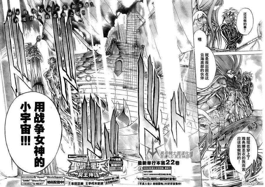第205话-圣斗士星矢 冥王神话-手代木史织（第1张）