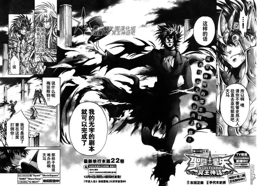 第206话-圣斗士星矢 冥王神话-手代木史织（第1张）