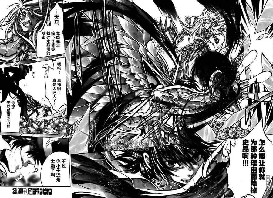 第206话-圣斗士星矢 冥王神话-手代木史织（第11张）