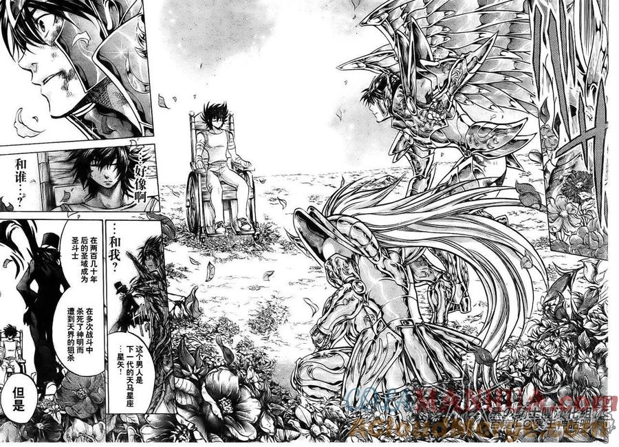 第206话-圣斗士星矢 冥王神话-手代木史织（第8张）