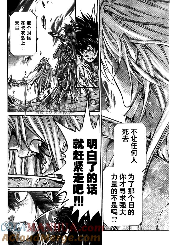 第207话-圣斗士星矢 冥王神话-手代木史织（第10张）