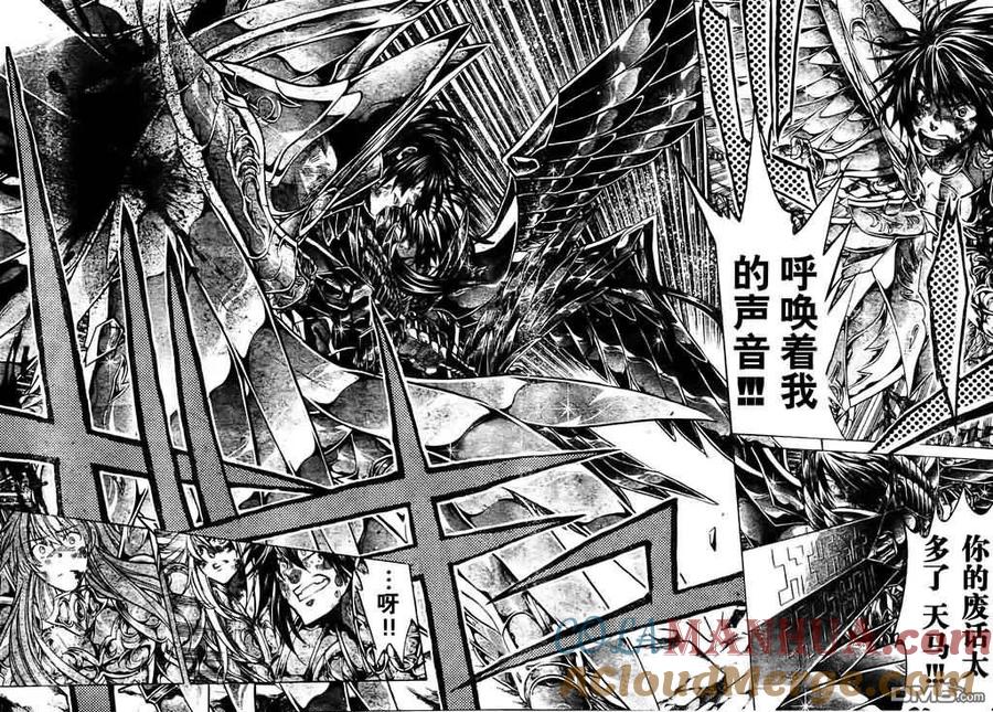 第213话-圣斗士星矢 冥王神话-手代木史织（第12张）
