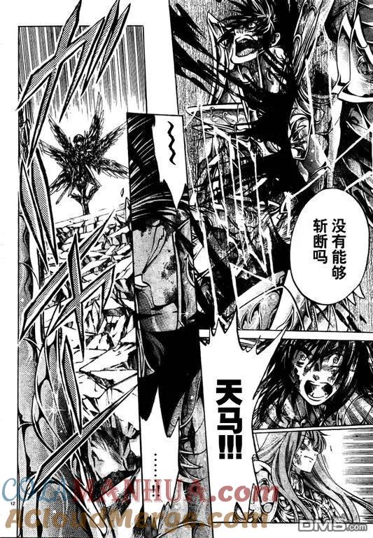 第213话-圣斗士星矢 冥王神话-手代木史织（第10张）