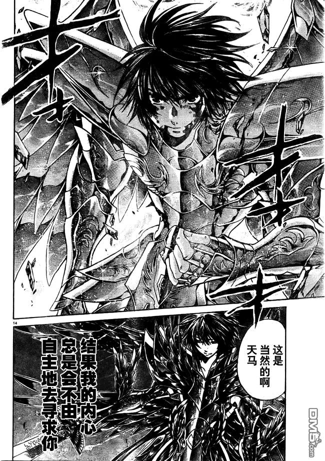 第214话-圣斗士星矢 冥王神话-手代木史织（第11张）