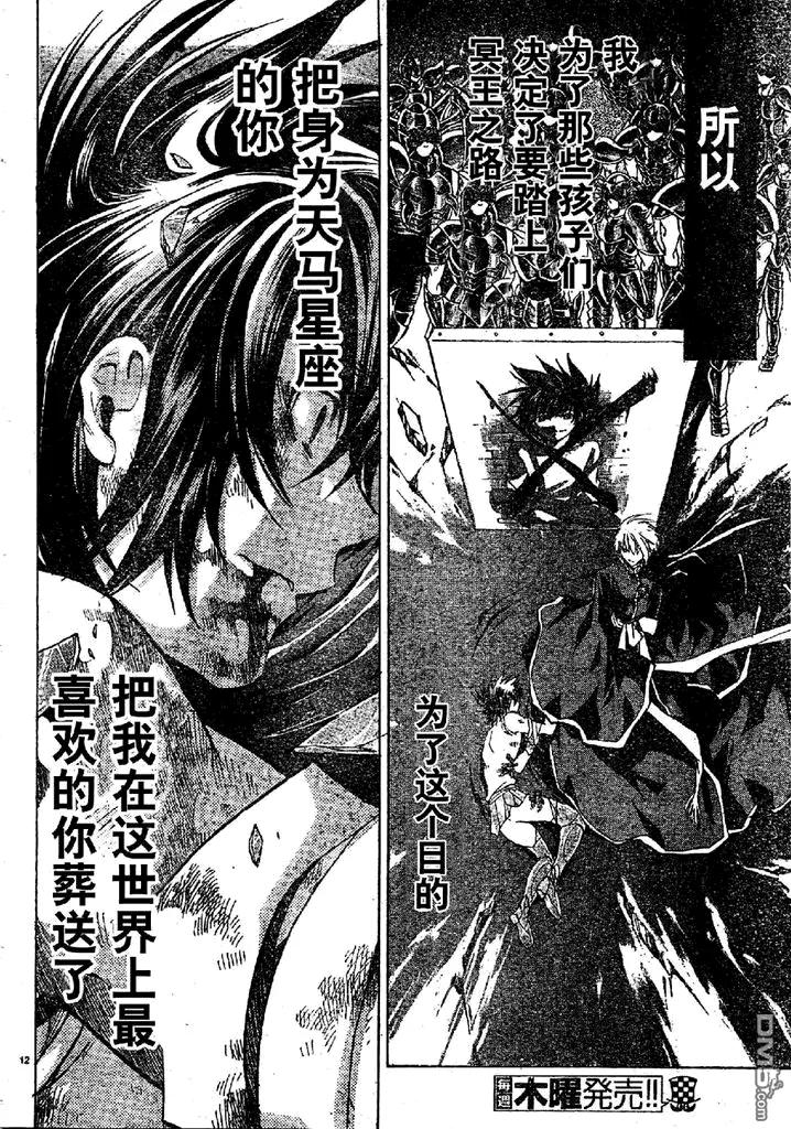 第214话-圣斗士星矢 冥王神话-手代木史织（第9张）
