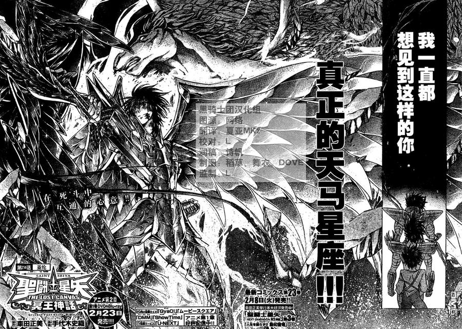 第214话-圣斗士星矢 冥王神话-手代木史织（第1张）