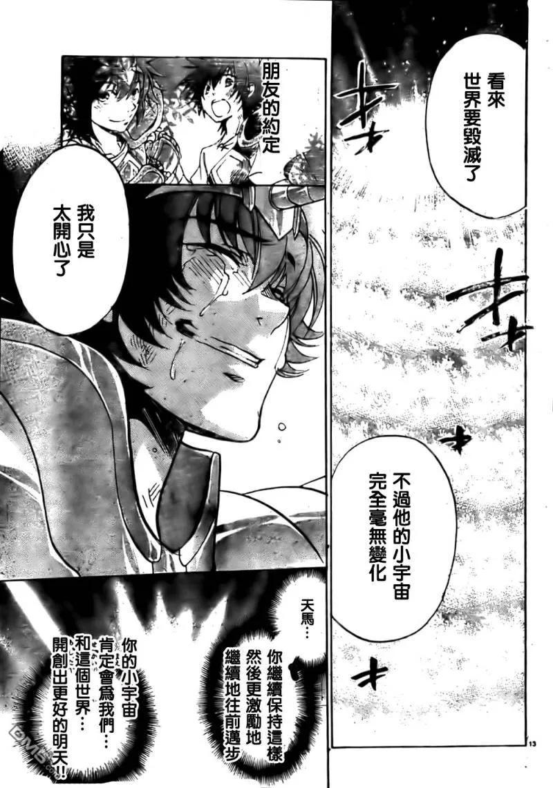 第215话-圣斗士星矢 冥王神话-手代木史织（第9张）