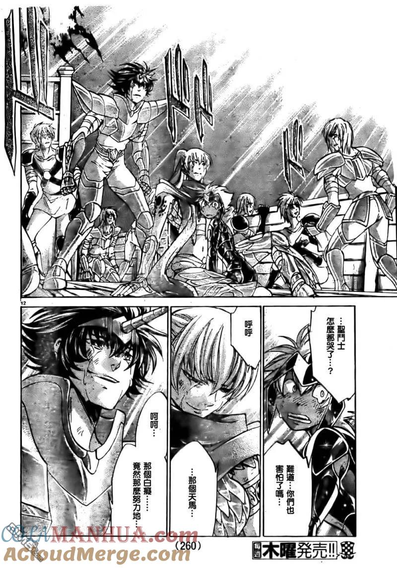 第215话-圣斗士星矢 冥王神话-手代木史织（第8张）