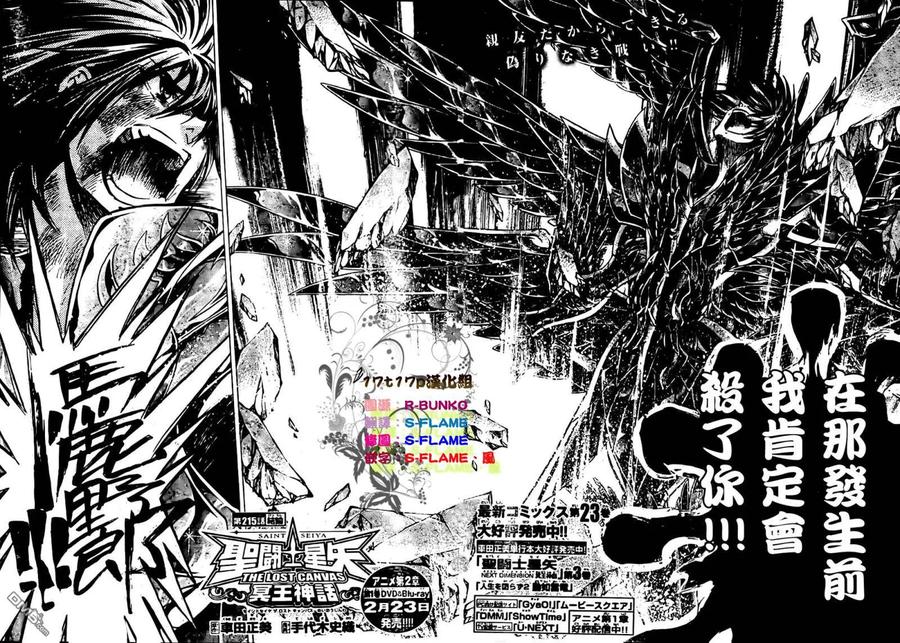 第215话-圣斗士星矢 冥王神话-手代木史织（第1张）