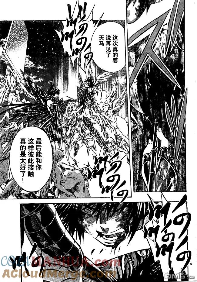 第216话-圣斗士星矢 冥王神话-手代木史织（第10张）
