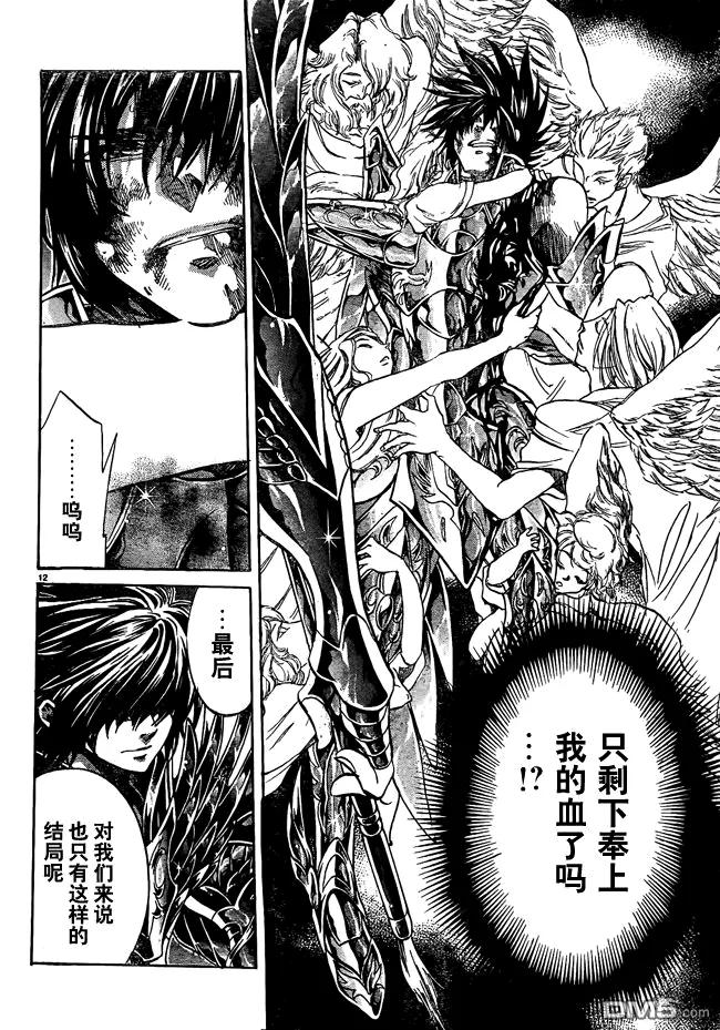 第216话-圣斗士星矢 冥王神话-手代木史织（第9张）