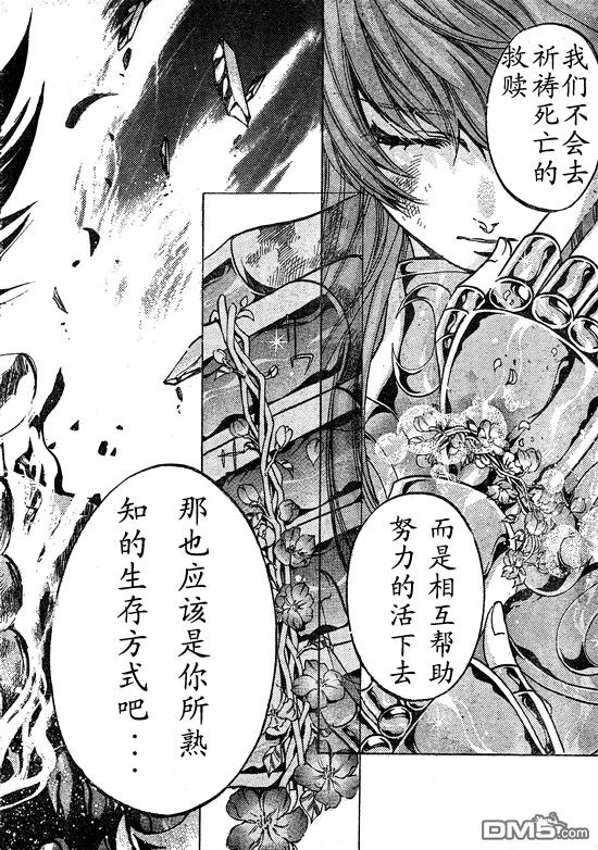 第218话-圣斗士星矢 冥王神话-手代木史织（第3张）