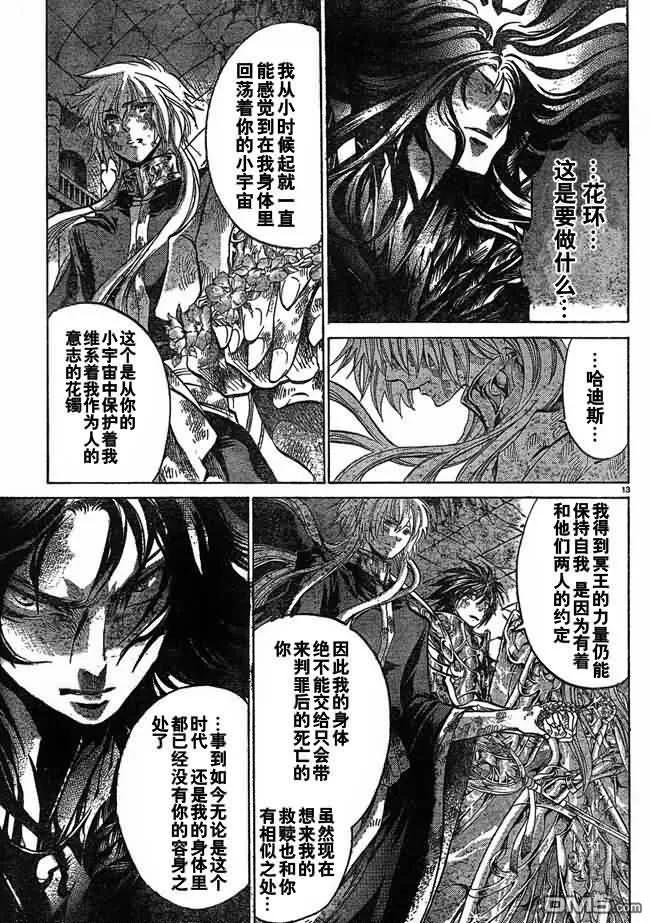 第222话-圣斗士星矢 冥王神话-手代木史织（第9张）