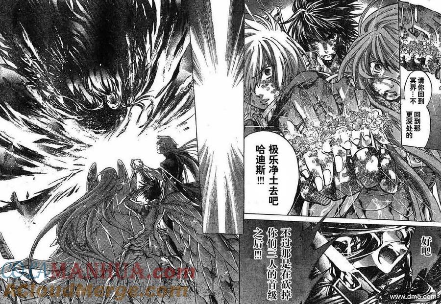第222话-圣斗士星矢 冥王神话-手代木史织（第10张）