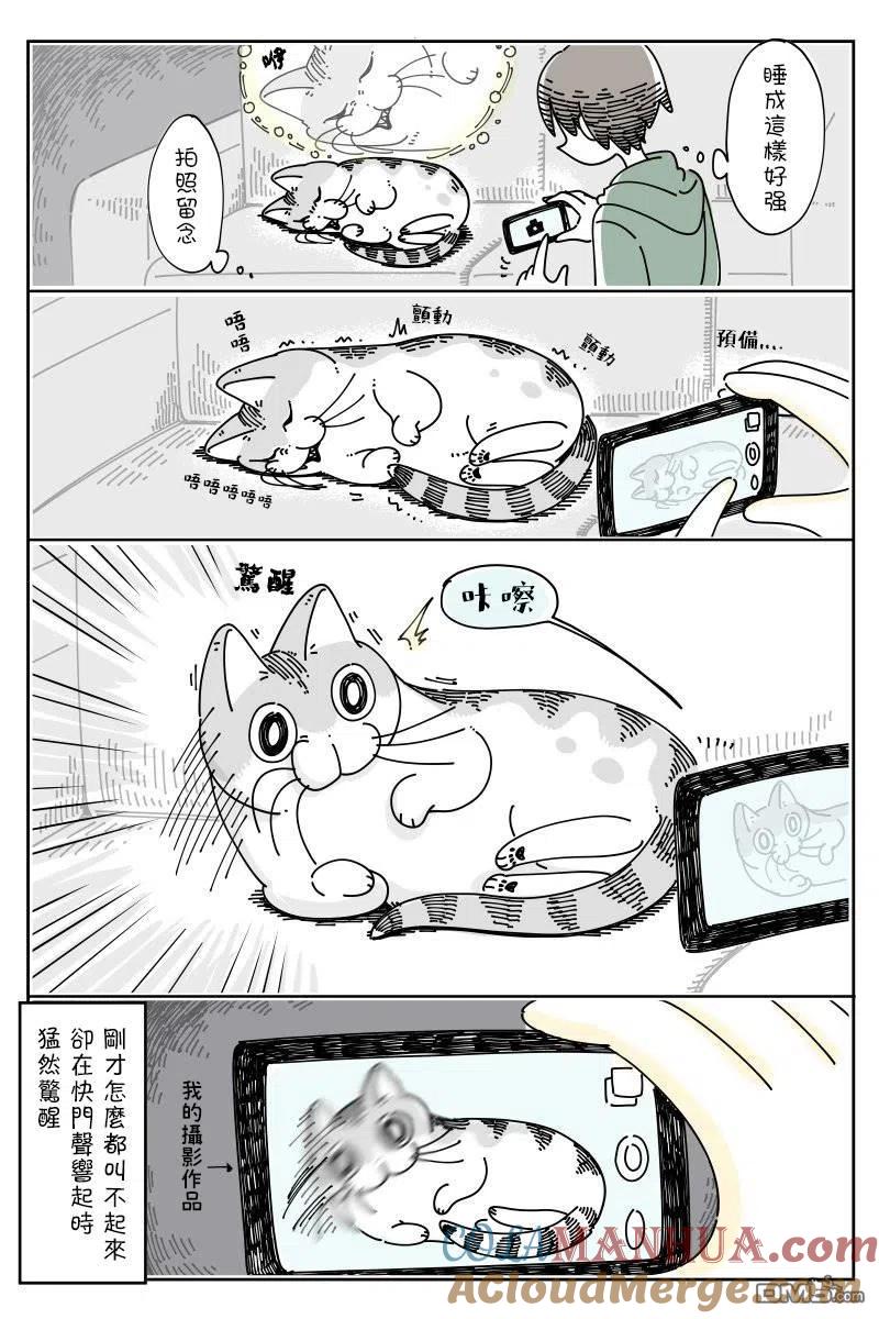第49话-关于养猫我一直是新手-キュルZ（第2张）
