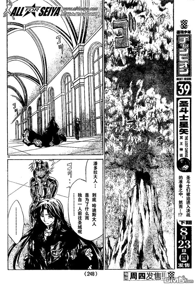 第48话-圣斗士星矢 冥王神话-手代木史织（第11张）