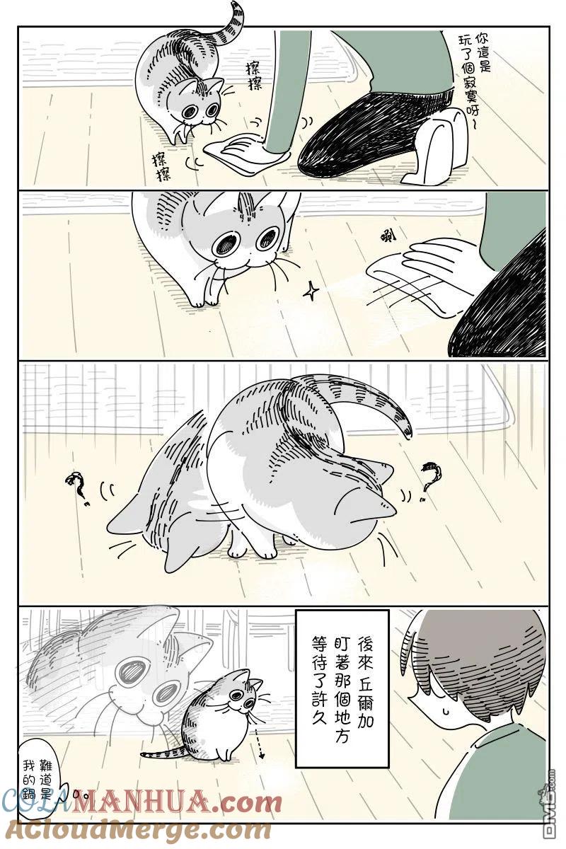 第68话-关于养猫我一直是新手-キュルZ（第2张）