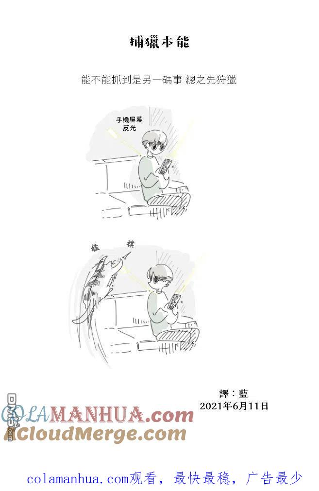 第68话-关于养猫我一直是新手-キュルZ（第3张）