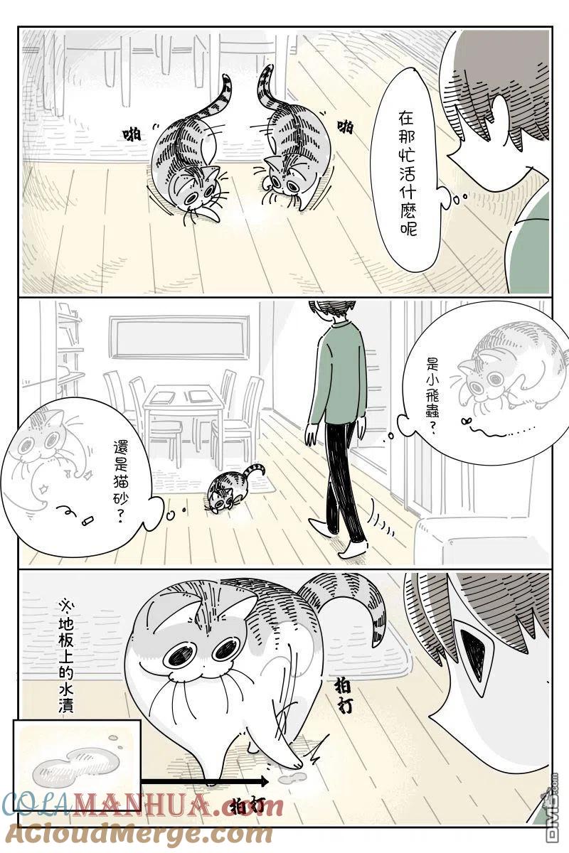 第68话-关于养猫我一直是新手-キュルZ（第1张）