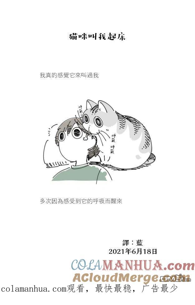 第69话-关于养猫我一直是新手-キュルZ（第3张）