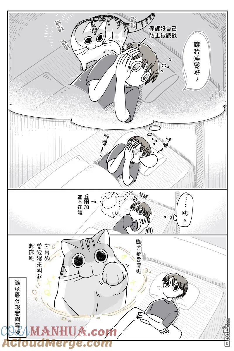 第69话-关于养猫我一直是新手-キュルZ（第2张）