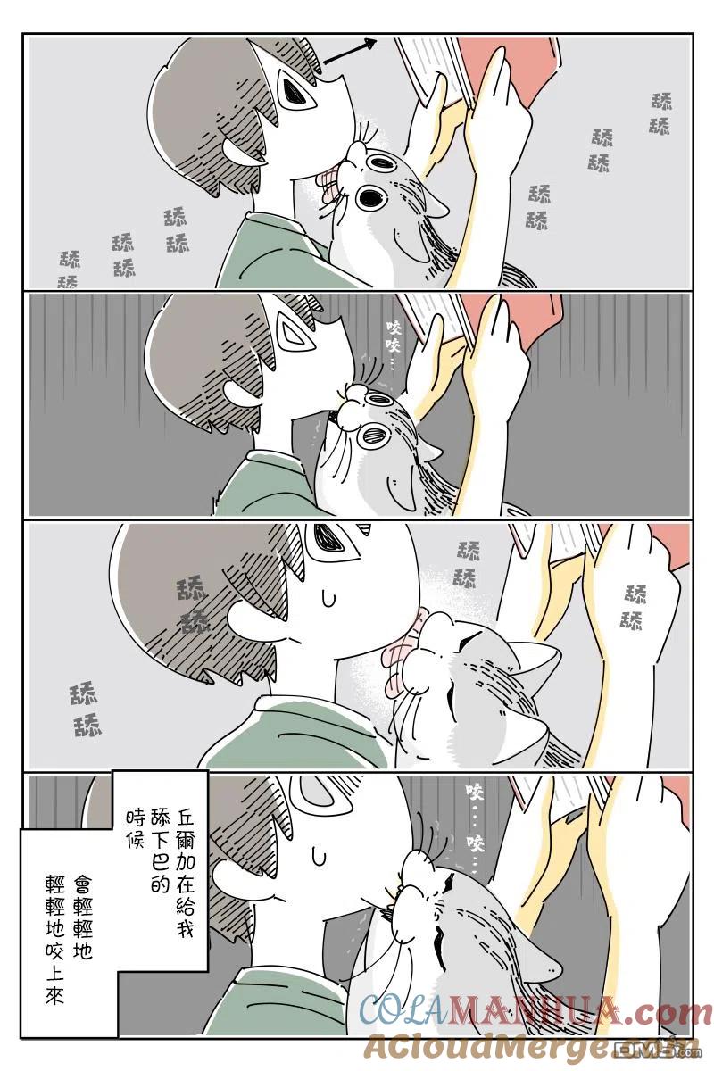第75话-关于养猫我一直是新手-キュルZ（第1张）