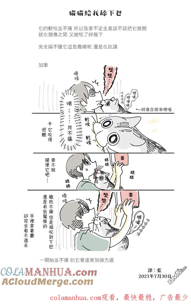 第75话-关于养猫我一直是新手-キュルZ（第2张）