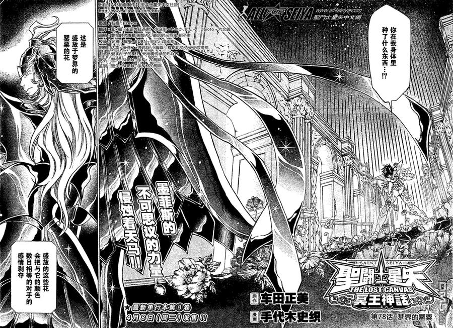 第78话-圣斗士星矢 冥王神话-手代木史织（第1张）