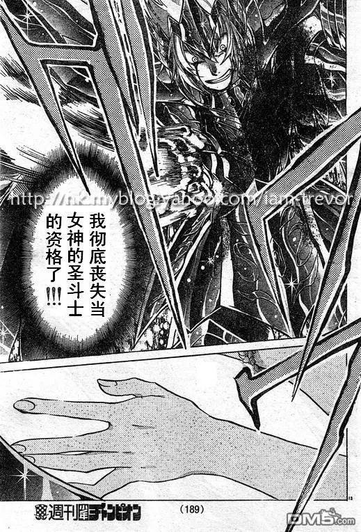 第85话-圣斗士星矢 冥王神话-手代木史织（第11张）