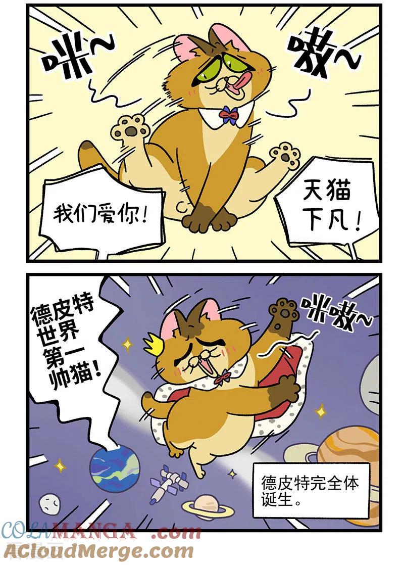 第64话2隔壁的德皮特-阿满和麦茶-新漫画 日胖大海寺（第6张）