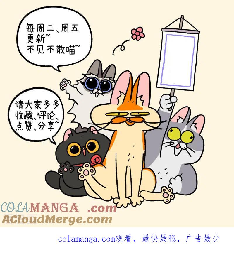 第78话2一个蛋蛋也是好猫咪-阿满和麦茶-新漫画 日胖大海寺（第7张）