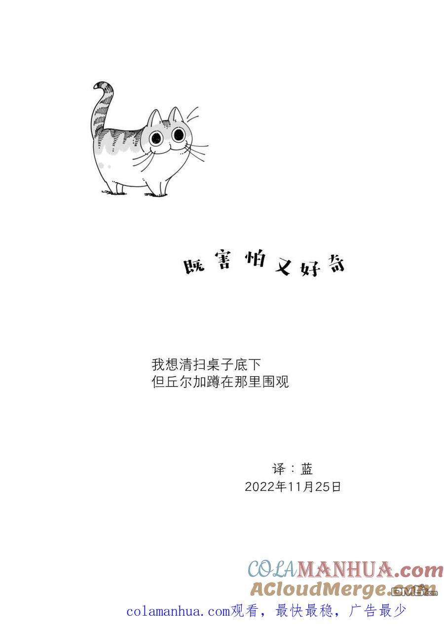 第142话-关于养猫我一直是新手-キュルZ（第3张）