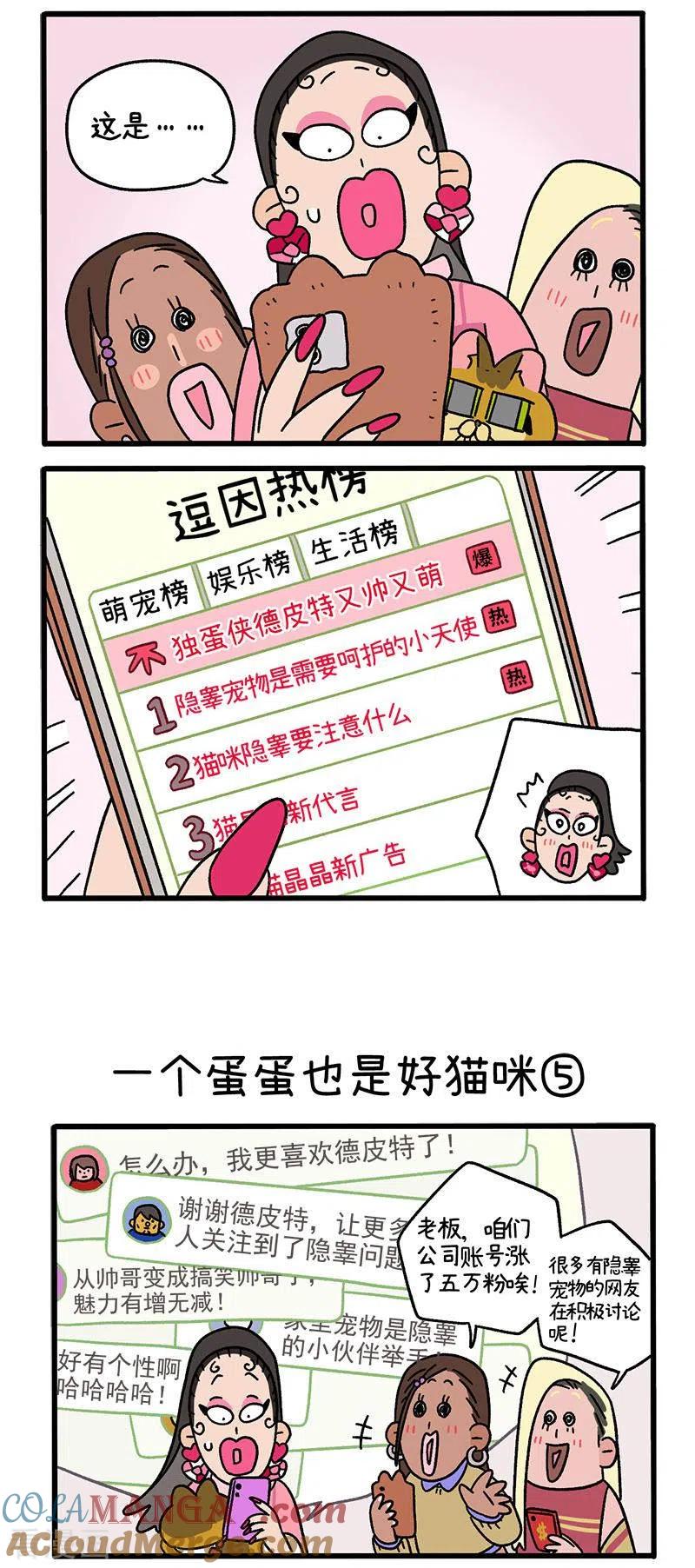 第78话2一个蛋蛋也是好猫咪-阿满和麦茶-新漫画 日胖大海寺（第2张）