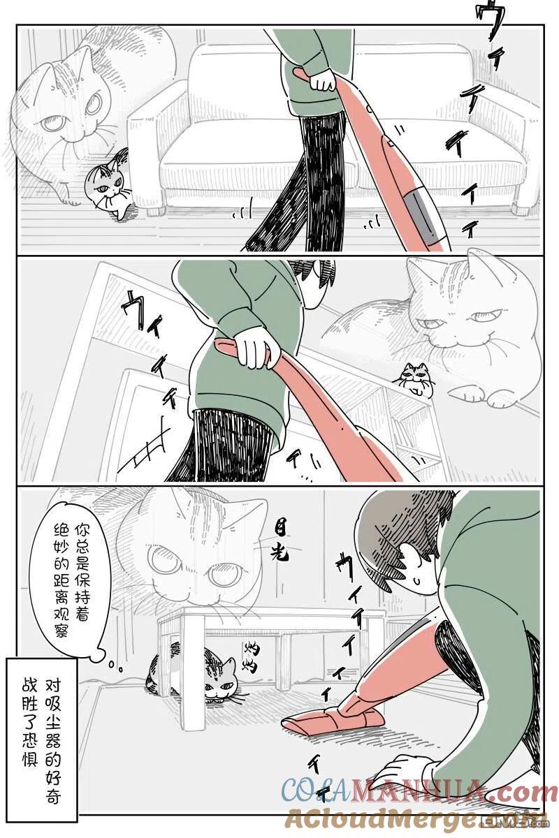 第142话-关于养猫我一直是新手-キュルZ（第2张）