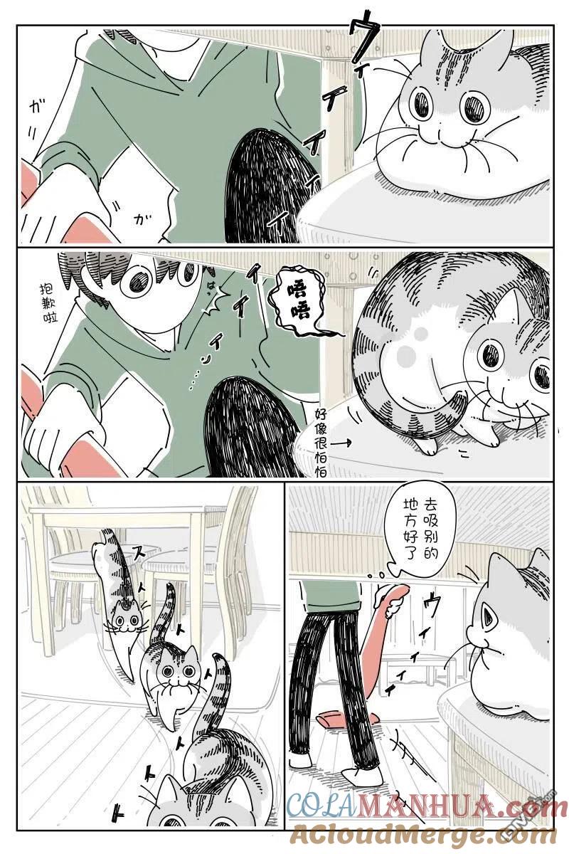 第142话-关于养猫我一直是新手-キュルZ（第1张）