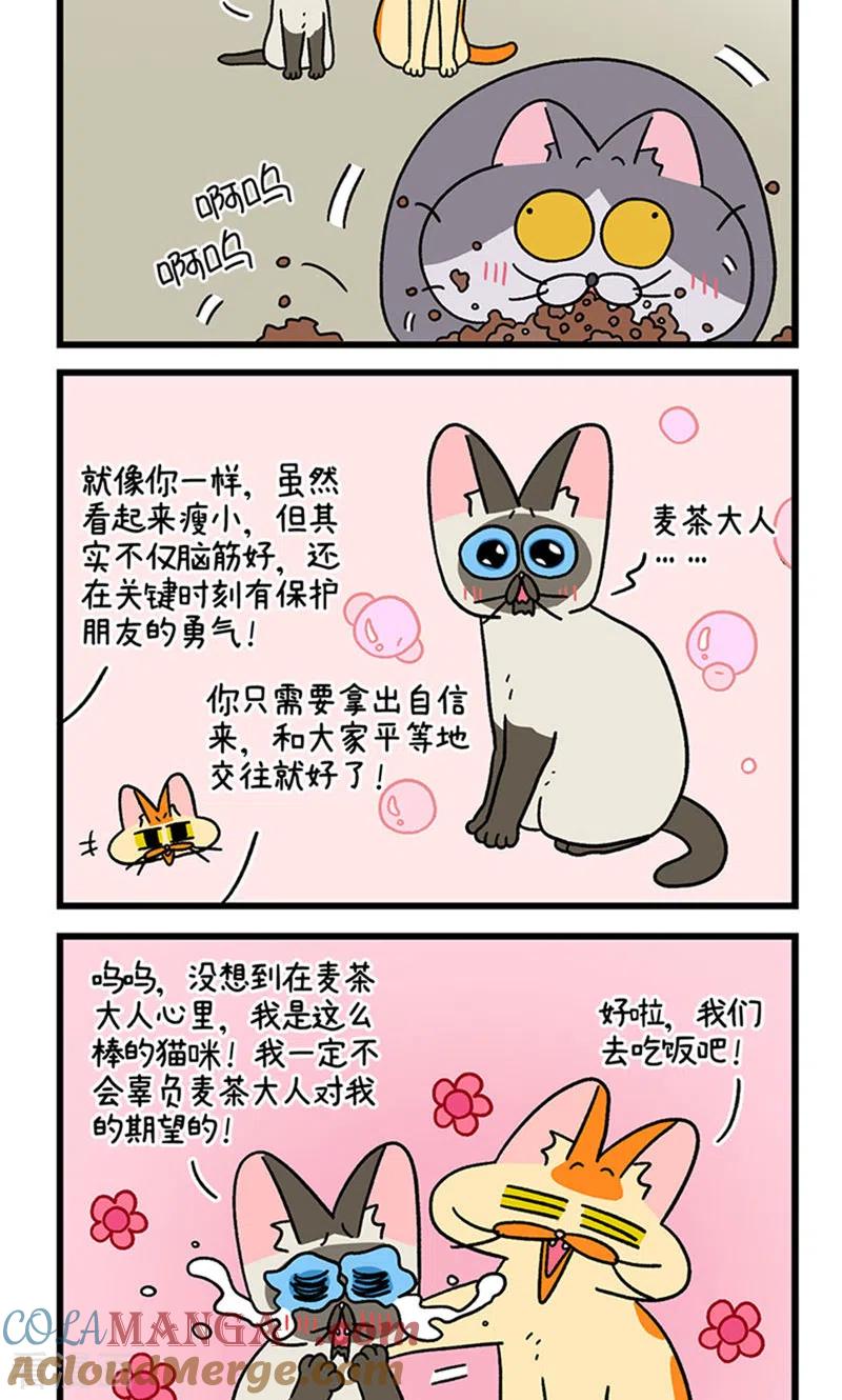第79话默默是大功臣-阿满和麦茶-新漫画 日胖大海寺（第5张）