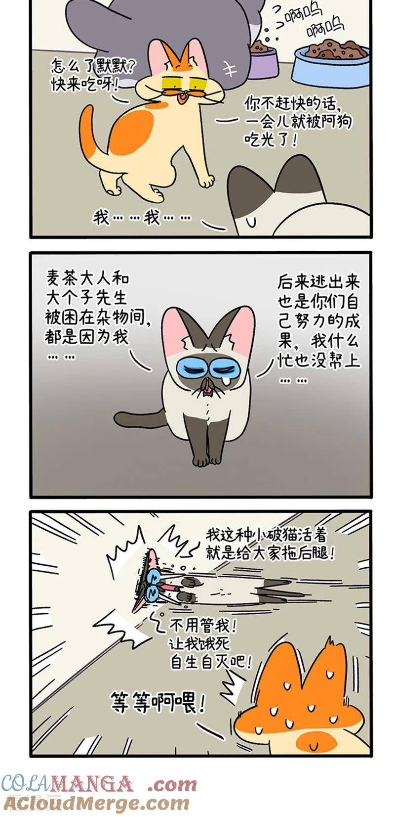 第79话默默是大功臣-阿满和麦茶-新漫画 日胖大海寺（第2张）