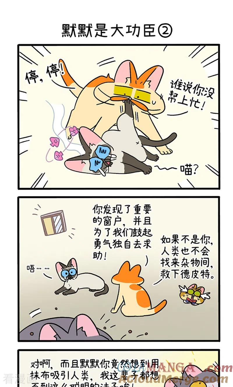 第79话默默是大功臣-阿满和麦茶-新漫画 日胖大海寺（第3张）