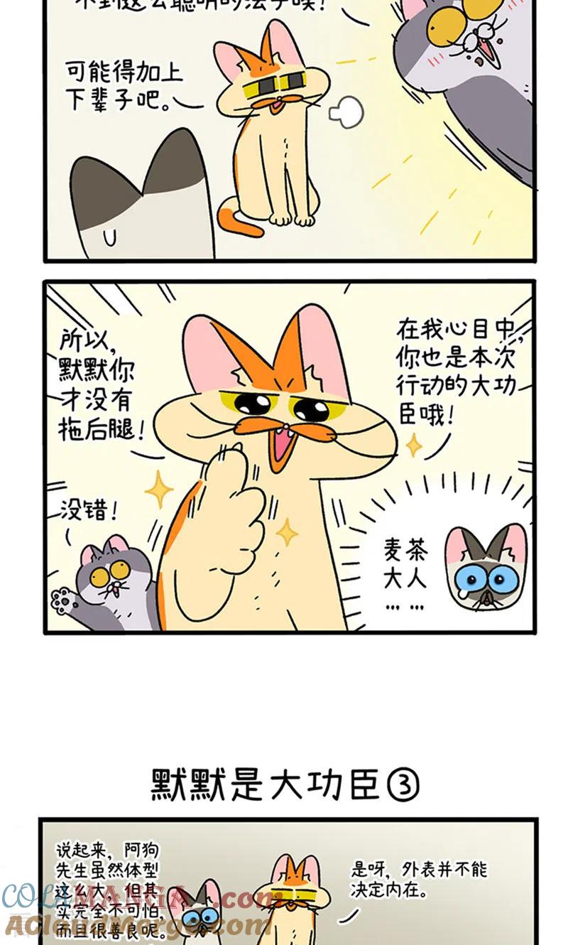 第79话默默是大功臣-阿满和麦茶-新漫画 日胖大海寺（第4张）