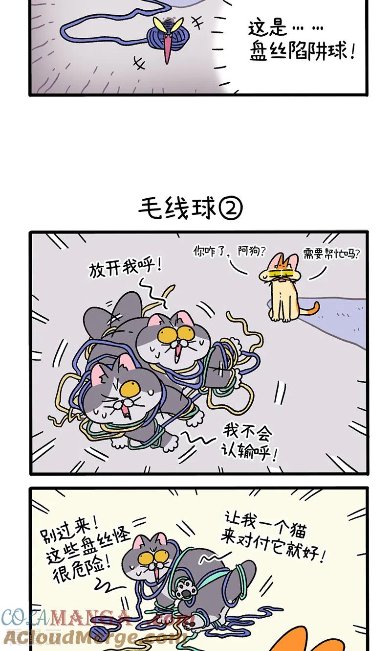 第94话毛线球-阿满和麦茶-新漫画 日胖大海寺（第3张）