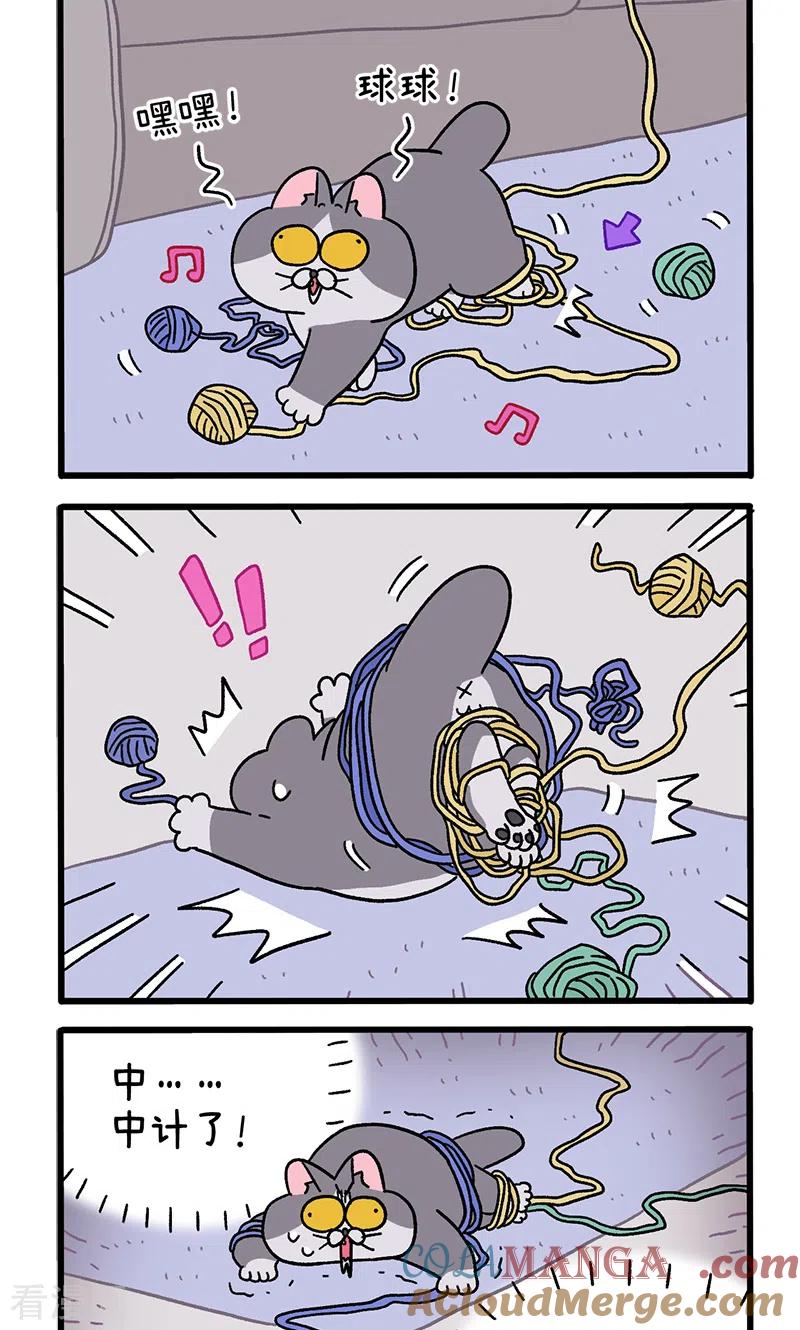 第94话毛线球-阿满和麦茶-新漫画 日胖大海寺（第2张）