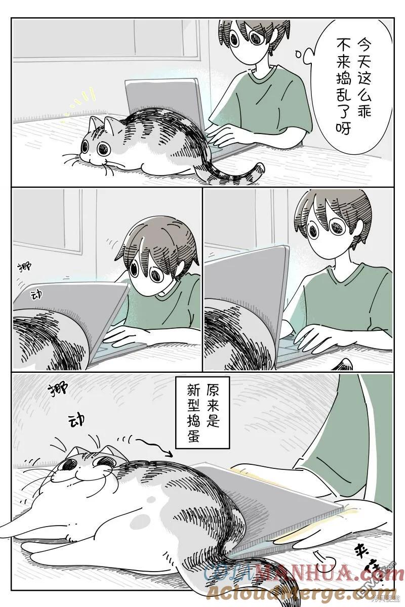 第175话-关于养猫我一直是新手-キュルZ（第1张）