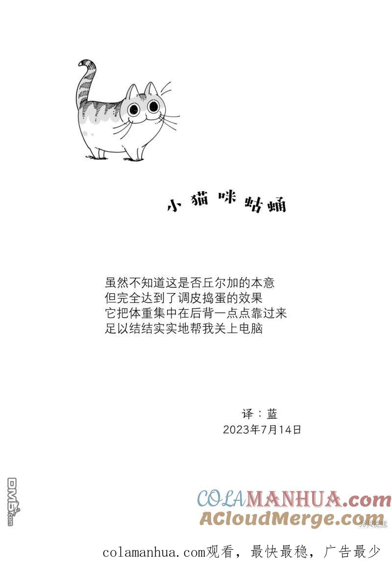 第175话-关于养猫我一直是新手-キュルZ（第2张）